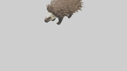 3D model Porcupine defending model VR / AR / low-poly