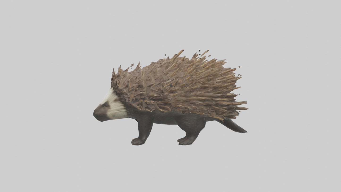 3D model Porcupine defending model VR / AR / low-poly