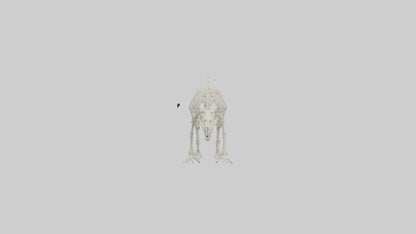 3D model Porcupine Skeleton model VR / AR / low-poly