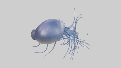 3D model Portuguese Man O War floating model VR / AR / low-poly