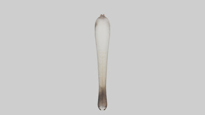 3D model Possum Tail Model VR / AR / low-poly