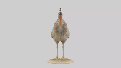 3D model Prairie Chicken standing model VR / AR / low-poly