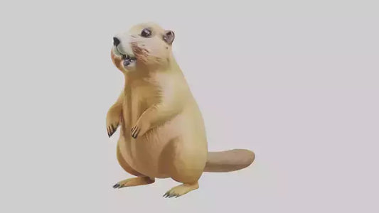 Prairie Dog chirping model VR / AR / low-poly