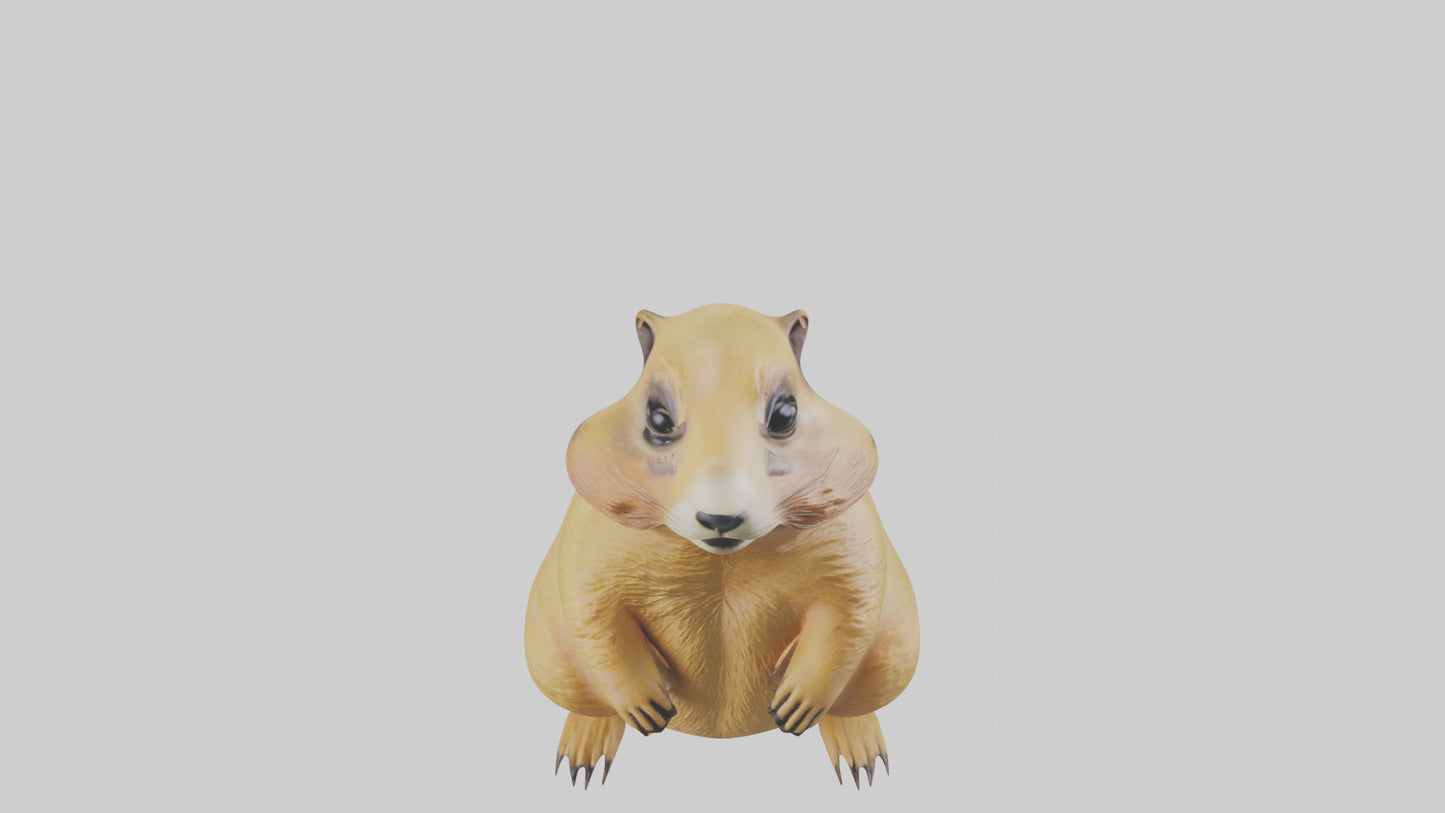 Prairie Dog chirping model VR / AR / low-poly
