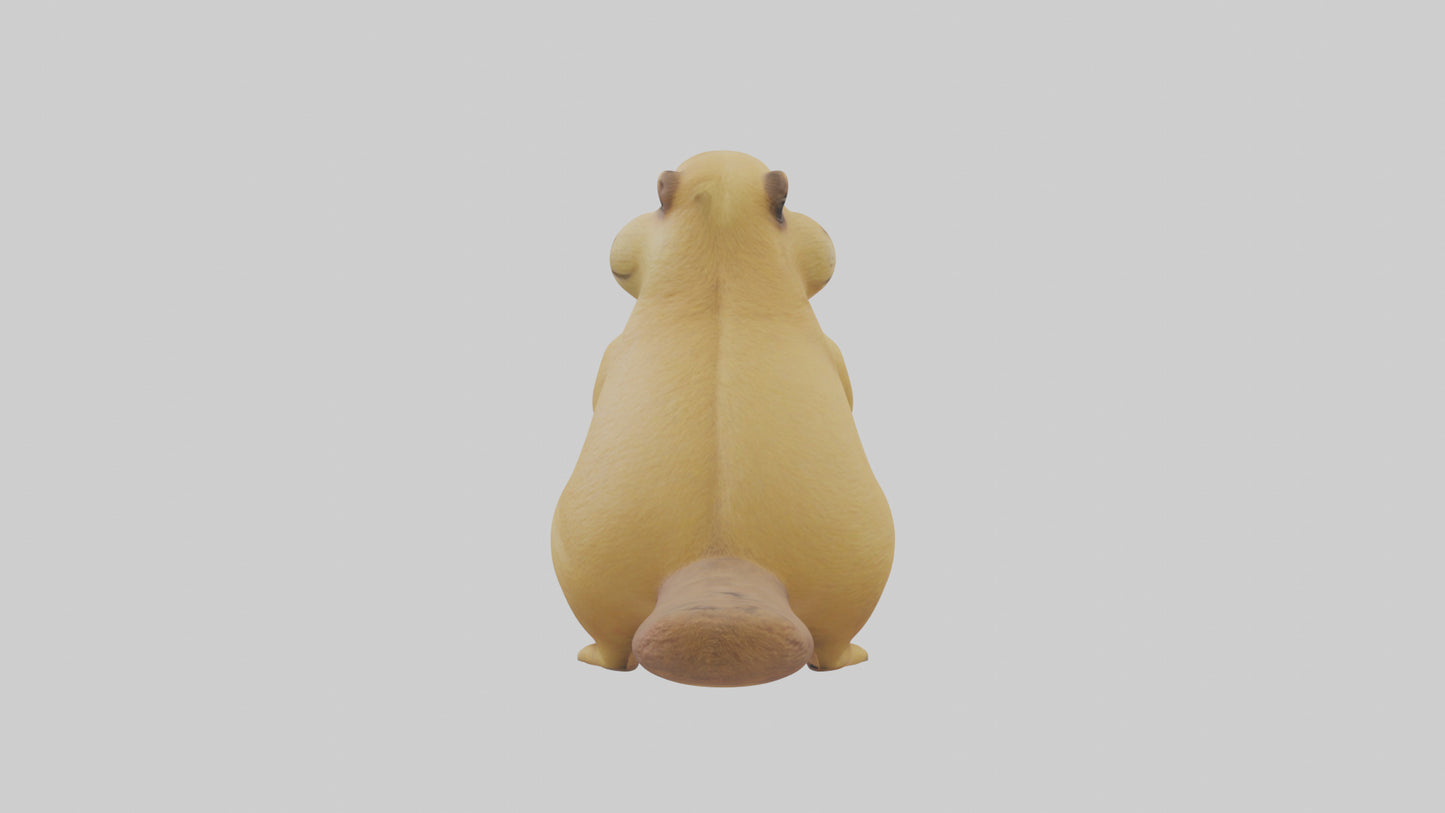 Prairie Dog chirping model VR / AR / low-poly