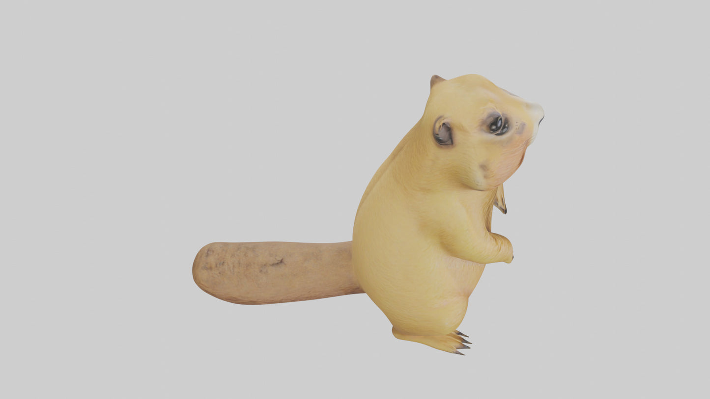 Prairie Dog chirping model VR / AR / low-poly