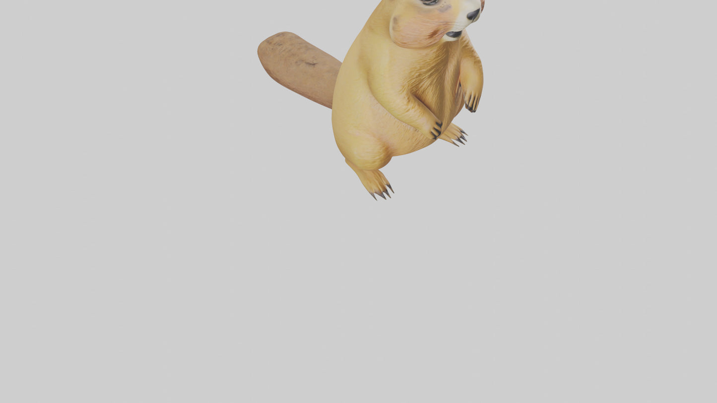 Prairie Dog chirping model VR / AR / low-poly