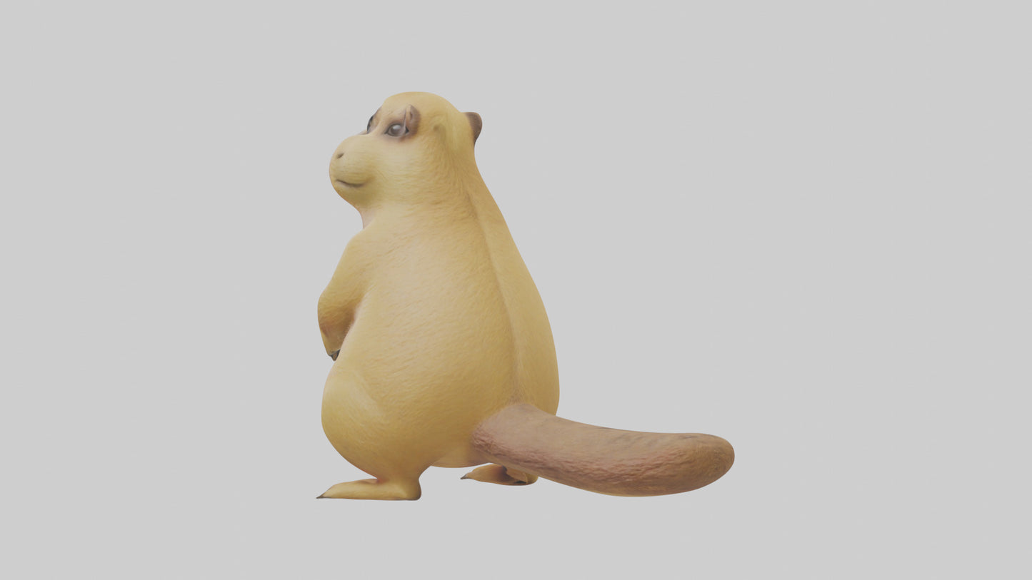 Prairie Dog chirping model VR / AR / low-poly