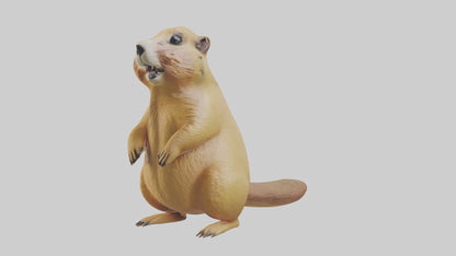 Prairie Dog chirping model VR / AR / low-poly