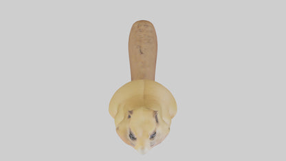 Prairie Dog chirping model VR / AR / low-poly