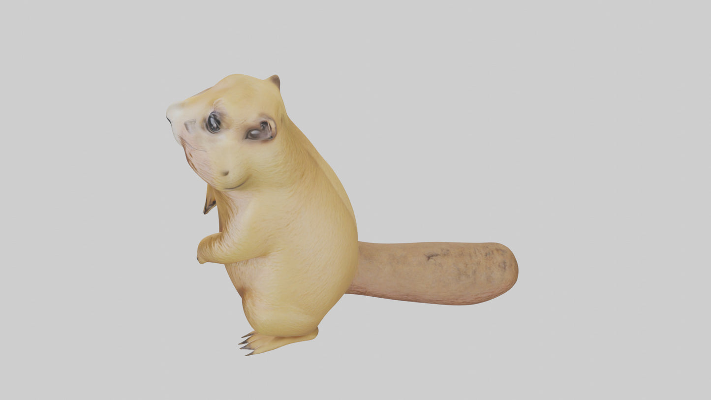 Prairie Dog chirping model VR / AR / low-poly