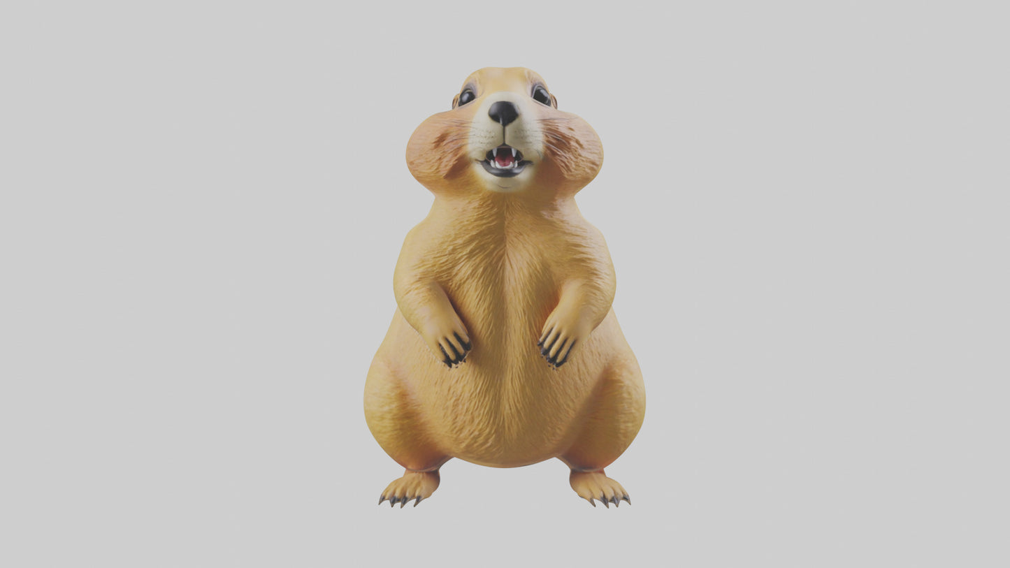 Prairie Dog chirping model VR / AR / low-poly