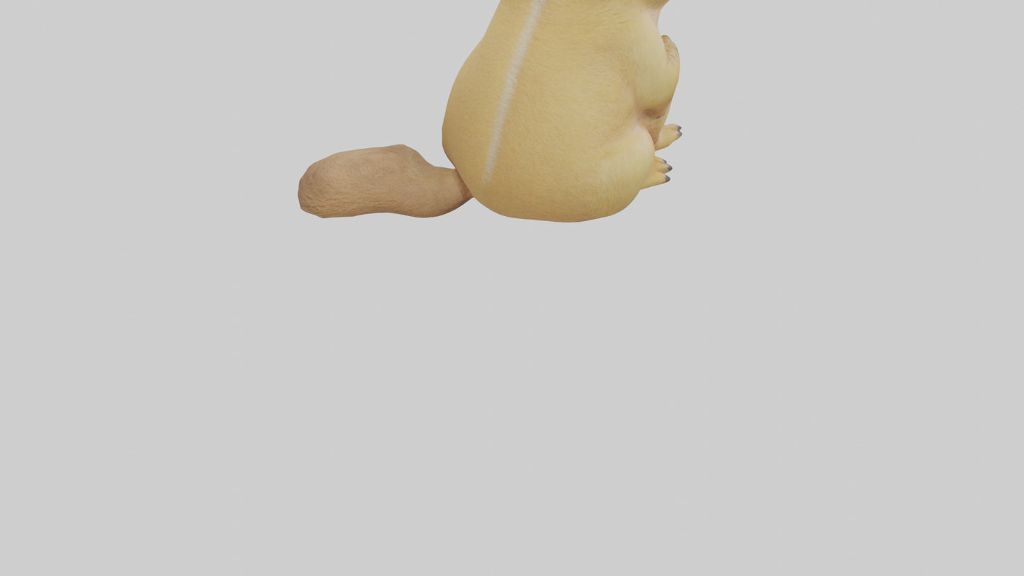 3D model Prairie Dog sitting model VR / AR / low-poly