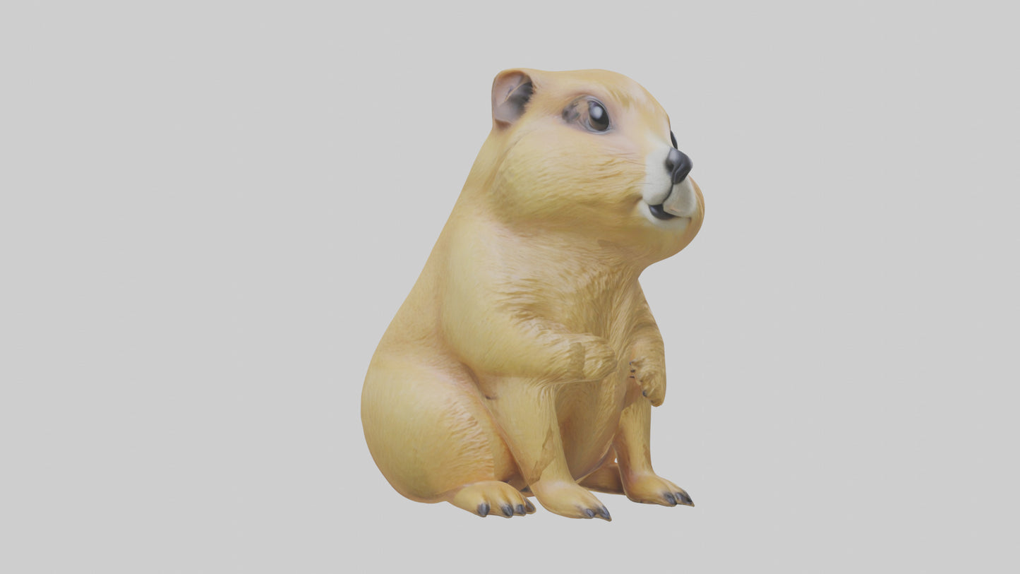 3D model Prairie Dog sitting model VR / AR / low-poly