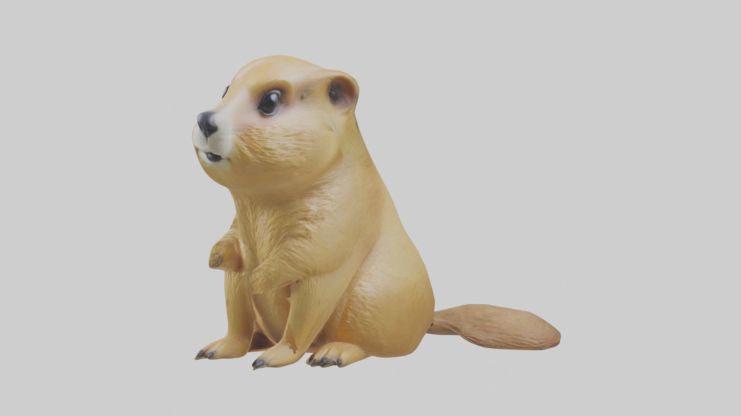 3D model Prairie Dog sitting model VR / AR / low-poly