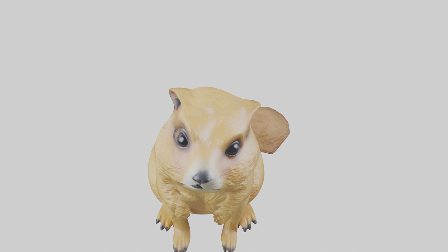 3D model Prairie Dog sitting model VR / AR / low-poly