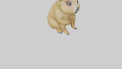 3D model Prairie Dog sitting model VR / AR / low-poly