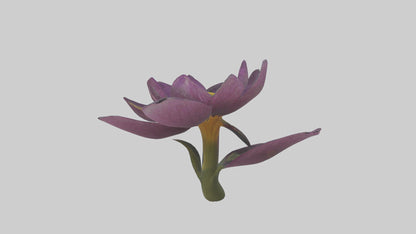 3D model Primula model VR / AR / low-poly