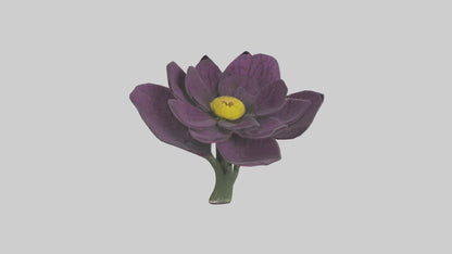 3D model Primula model VR / AR / low-poly