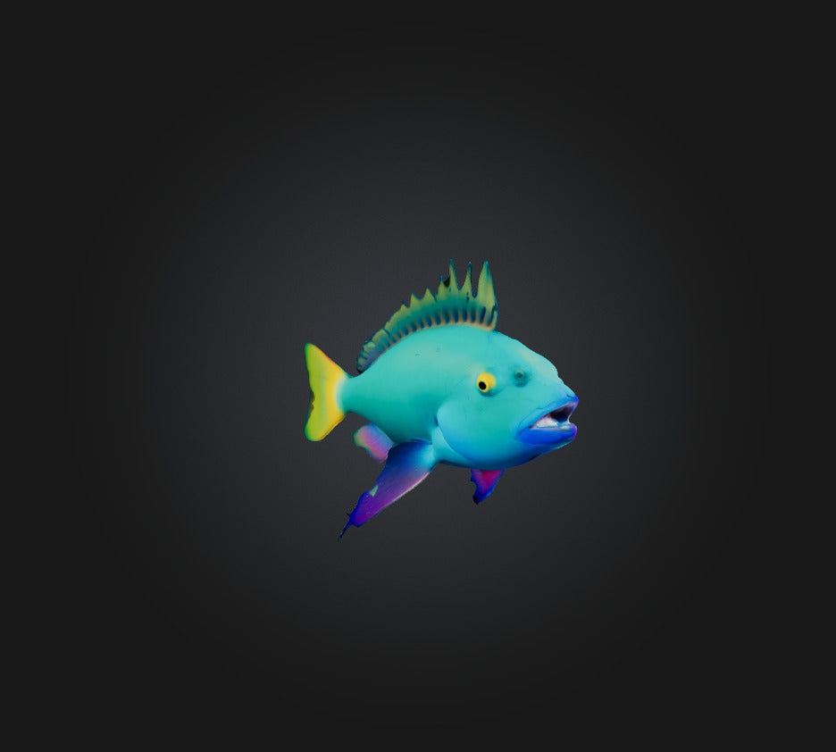 3D model Princess parrotfish VR / AR / low-poly