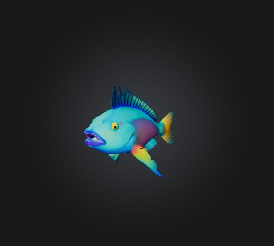 3D model Princess parrotfish VR / AR / low-poly