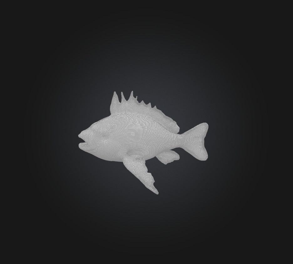 3D model Princess parrotfish VR / AR / low-poly