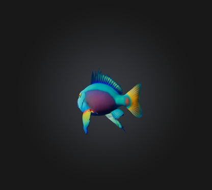 3D model Princess parrotfish VR / AR / low-poly