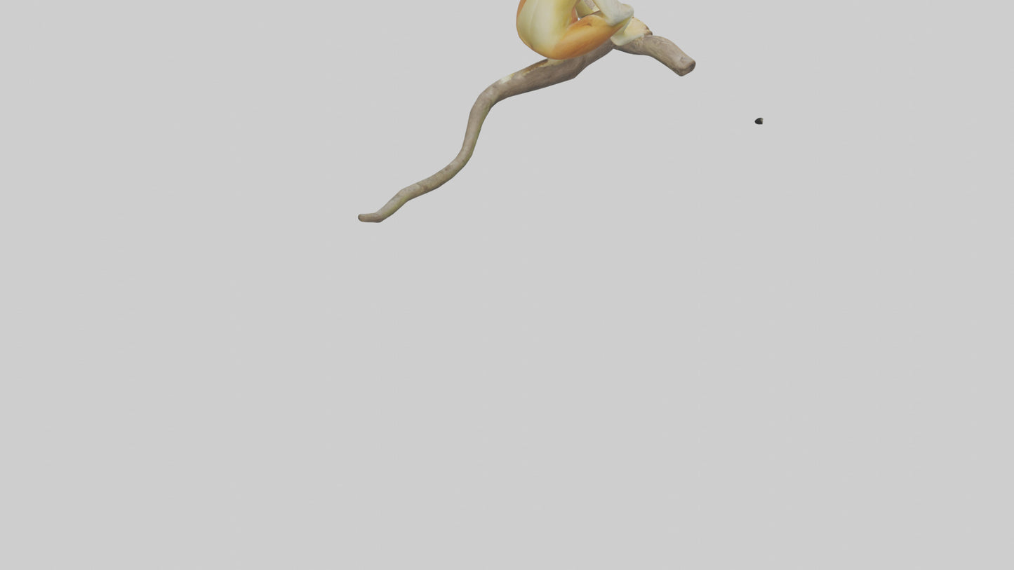 Private Office 3D model