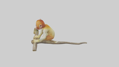 Private Office 3D model