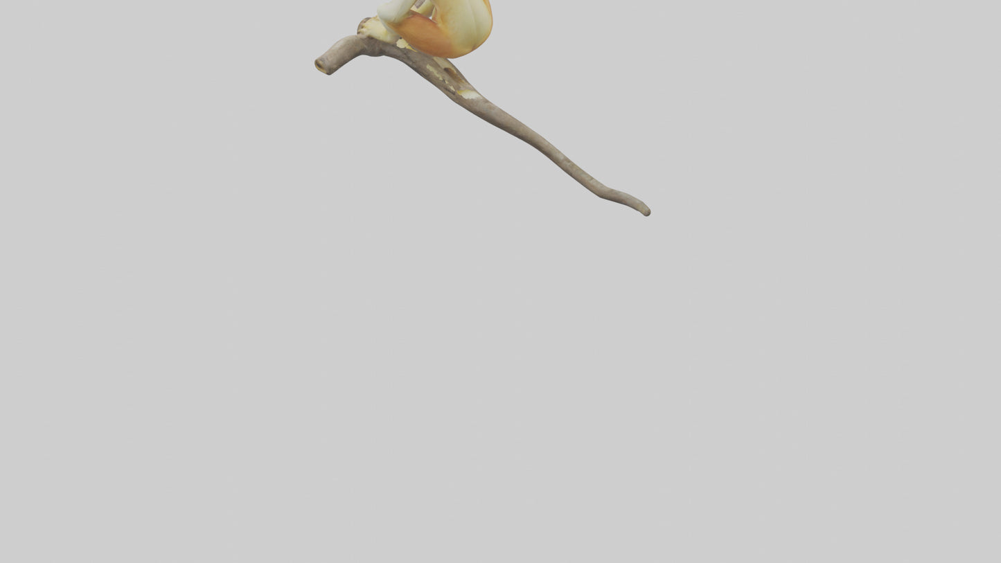 Private Office 3D model