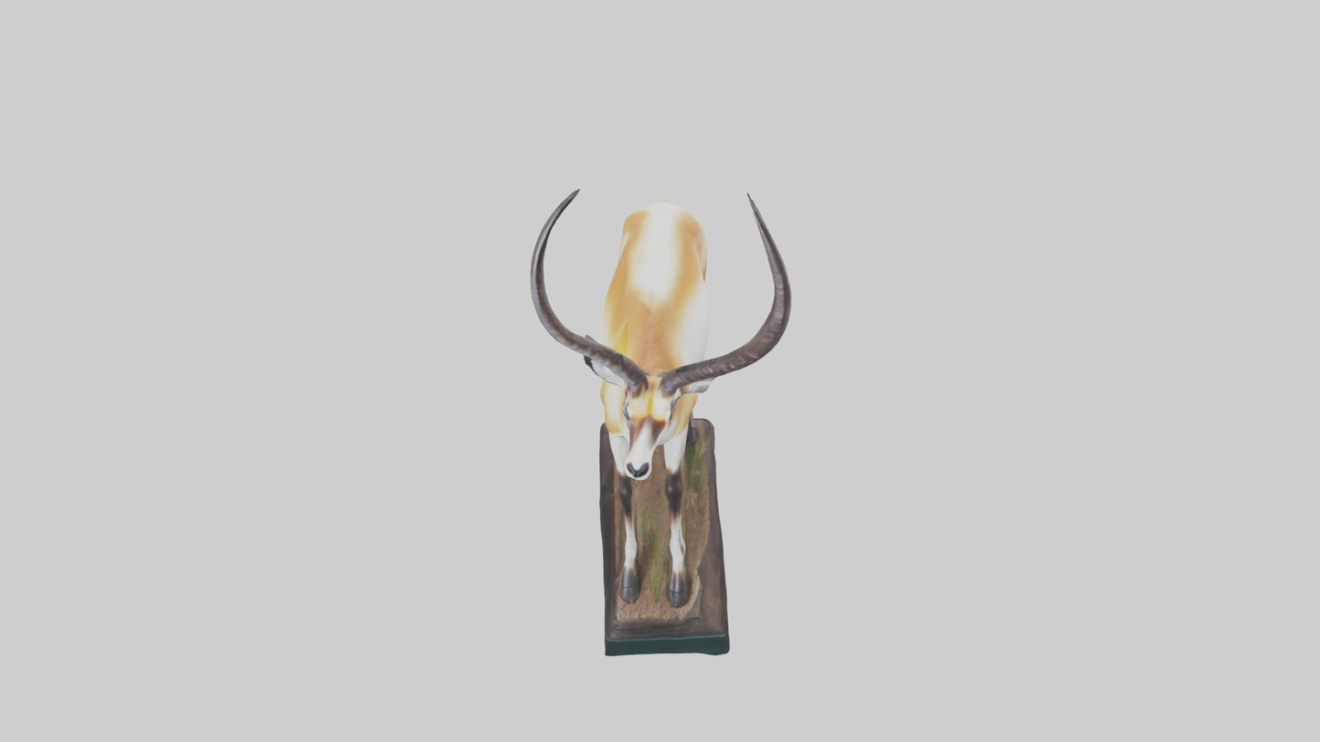 3D model Pronghorn Antelope statue model VR / AR / low-poly