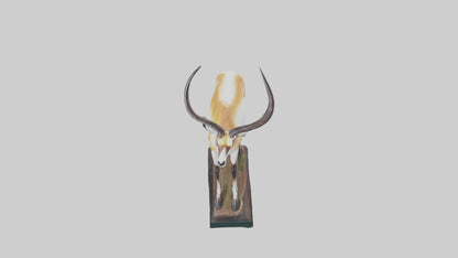 3D model Pronghorn Antelope statue model VR / AR / low-poly