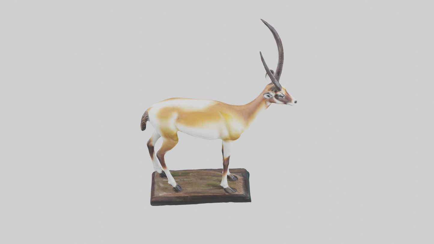 3D model Pronghorn Antelope statue model VR / AR / low-poly