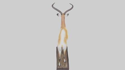 3D model Pronghorn Antelope statue model VR / AR / low-poly