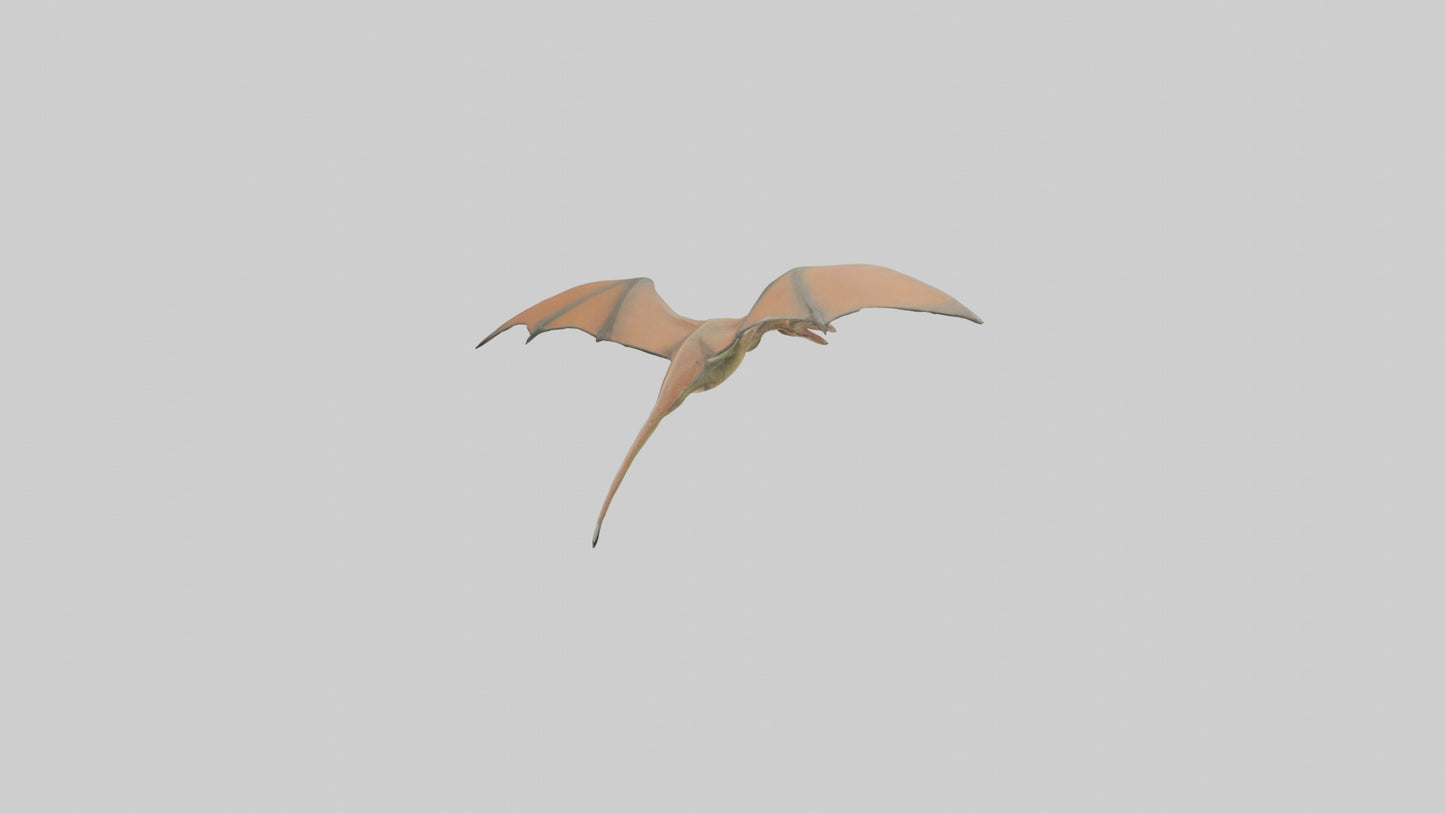 3D model Pteranodon model VR / AR / low-poly