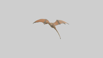 3D model Pteranodon model VR / AR / low-poly