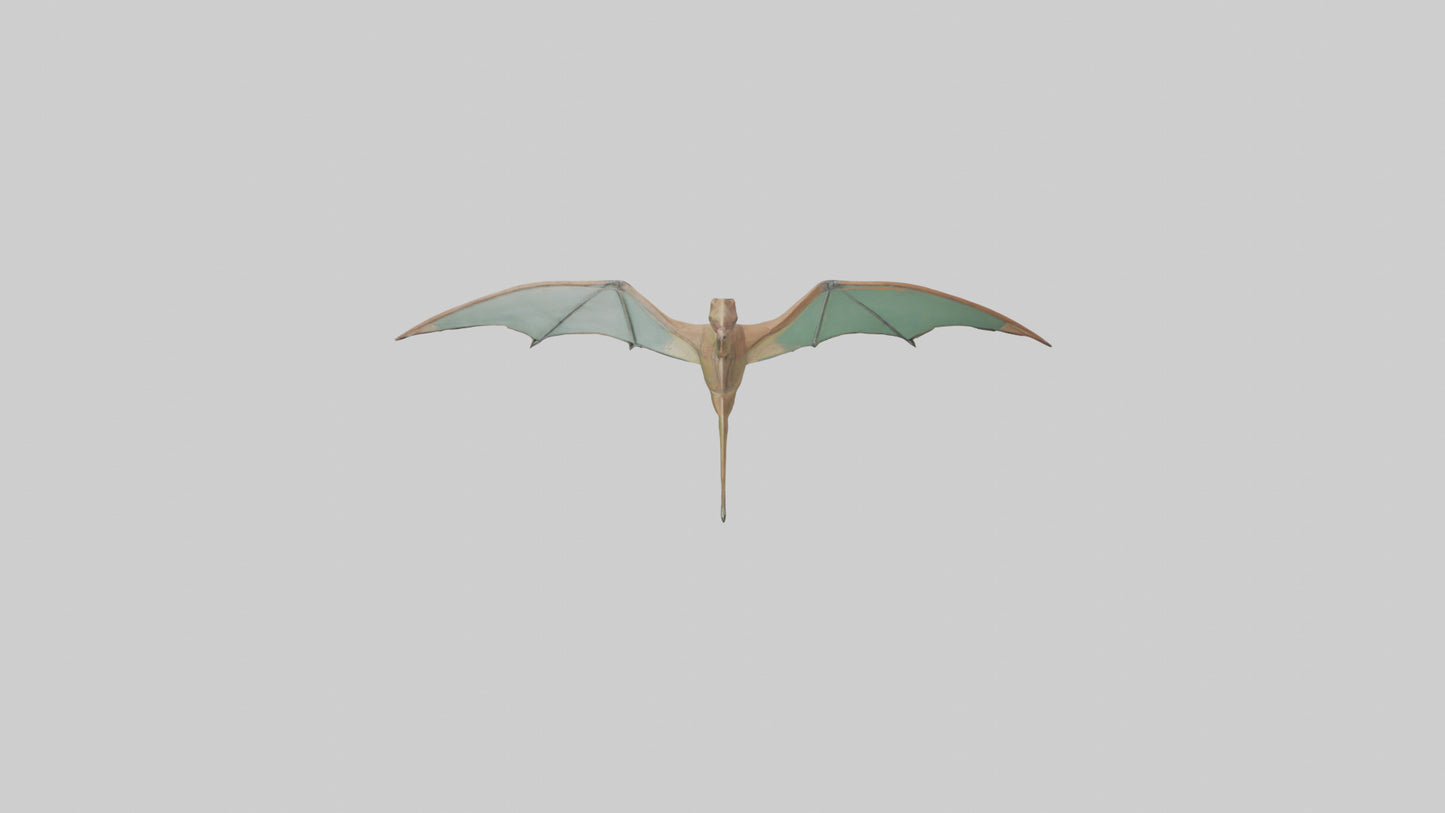 3D model Pteranodon model VR / AR / low-poly