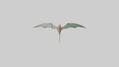 3D model Pteranodon model VR / AR / low-poly