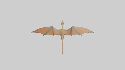 3D model Pteranodon model VR / AR / low-poly