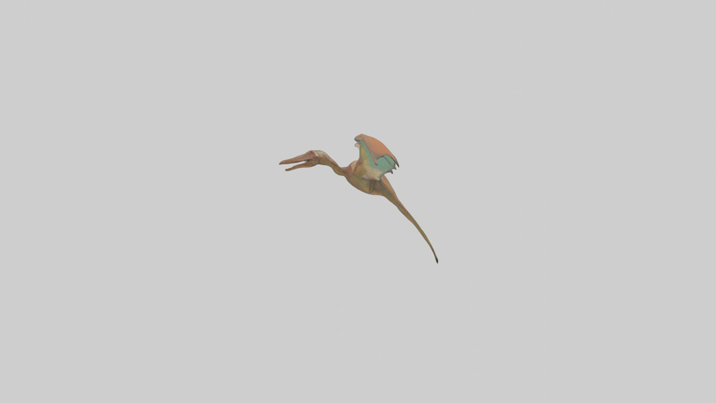 3D model Pteranodon model VR / AR / low-poly