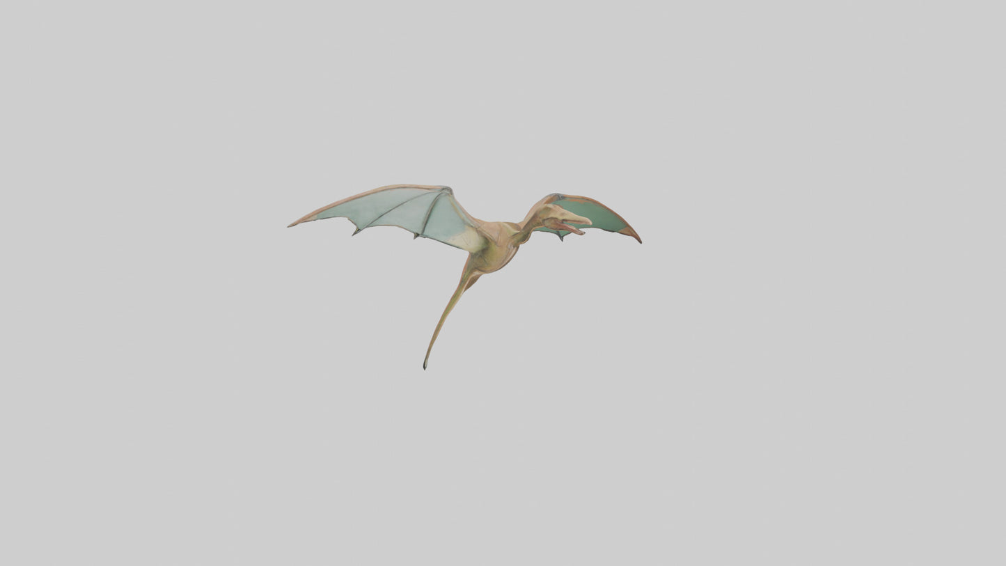 3D model Pteranodon model VR / AR / low-poly