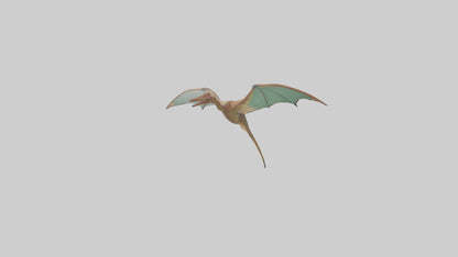 3D model Pteranodon model VR / AR / low-poly