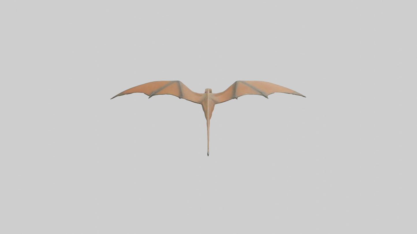 3D model Pteranodon model VR / AR / low-poly
