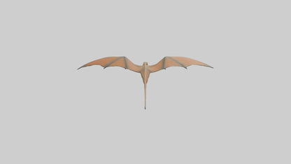 3D model Pteranodon model VR / AR / low-poly