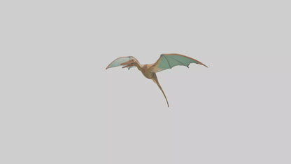 3D model Pteranodon model VR / AR / low-poly