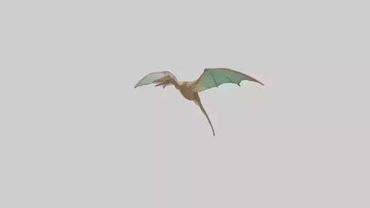 3D model Pteranodon model VR / AR / low-poly