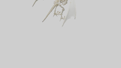 3D model Pterodactyl Skeleton model VR / AR / low-poly