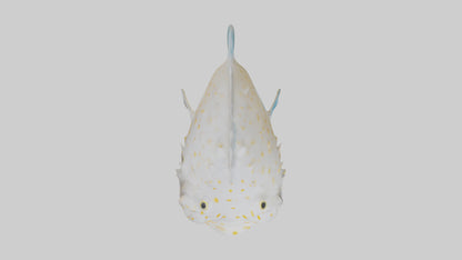 3D model Pufferfish inflated model VR / AR / low-poly