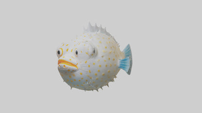3D model Pufferfish inflated model VR / AR / low-poly