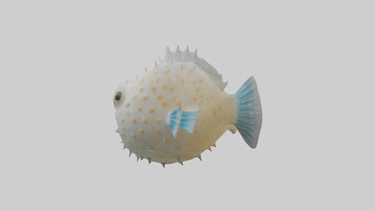 3D model Pufferfish inflated model VR / AR / low-poly